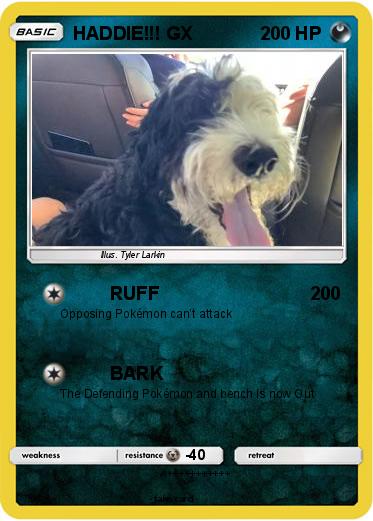 Pokemon HADDIE!!! GX