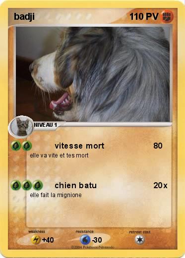 Pokemon badji