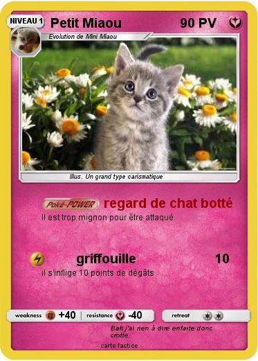 Pokemon Petit Miaou