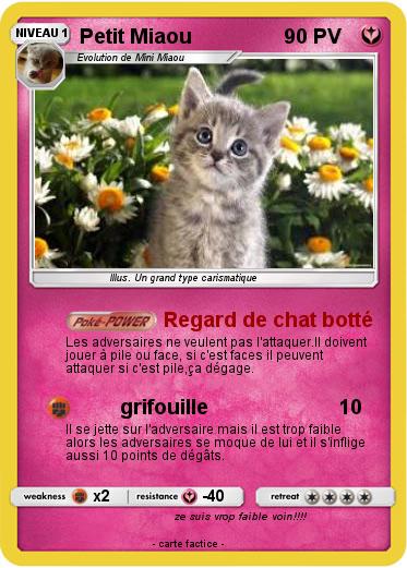 Pokemon Petit Miaou