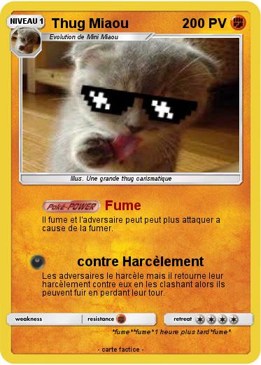 Pokemon Thug Miaou