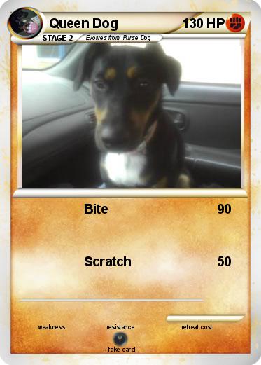Pokemon Queen Dog