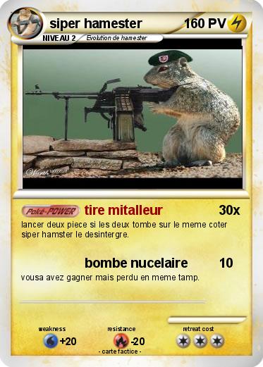 Pokemon siper hamester