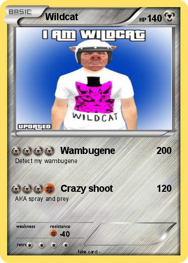 Pokemon Wildcat