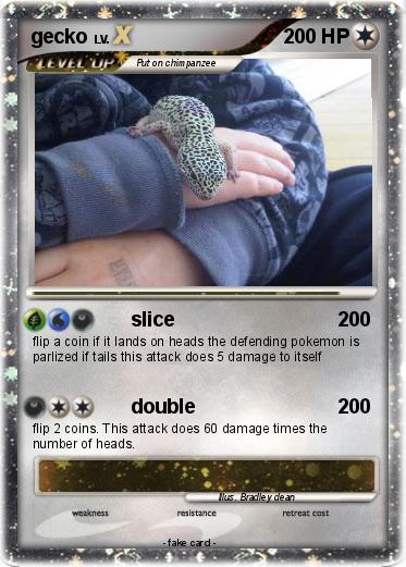Pokemon gecko