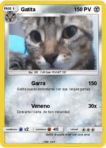 Pokemon Gatita