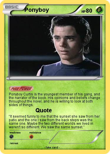 Pokemon Ponyboy