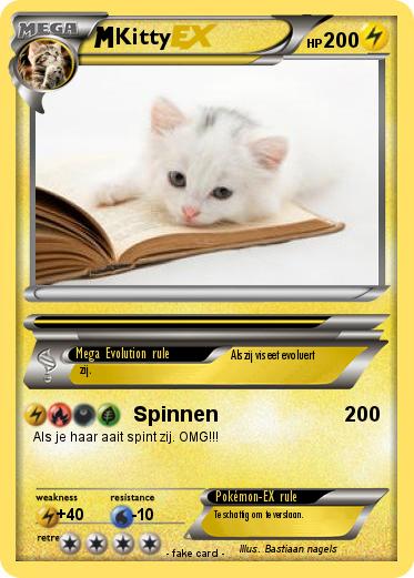 Pokemon Kitty