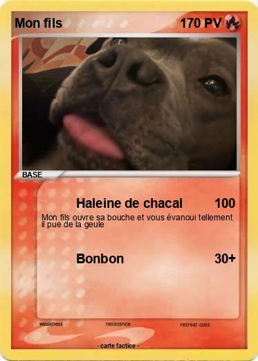Pokemon Mon fils