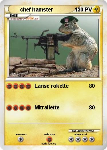 Pokemon chef hamster