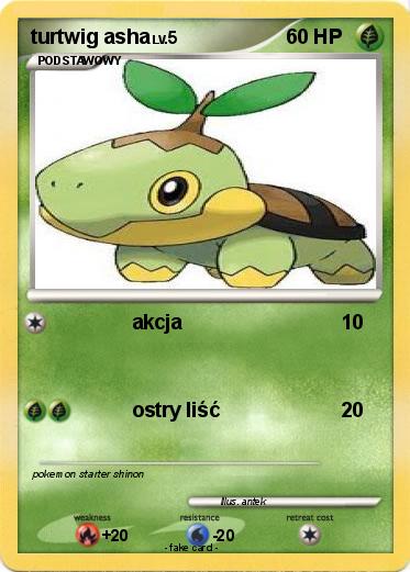 Pokemon turtwig asha