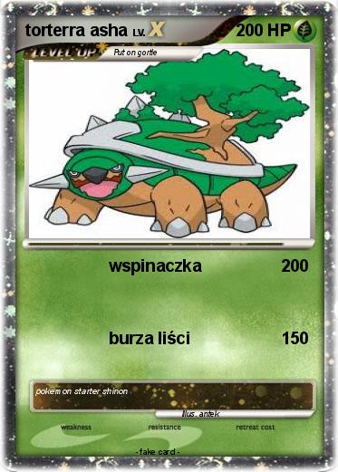 Pokemon torterra asha