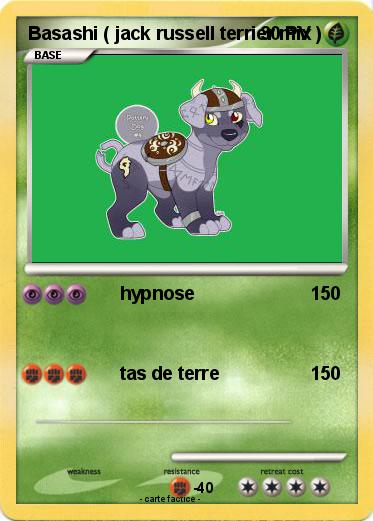 Pokemon Basashi ( jack russell terrier mix )