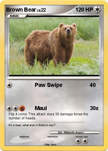 Pokemon Brown Bear