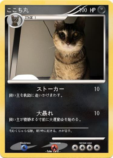 Pokemon ここち丸