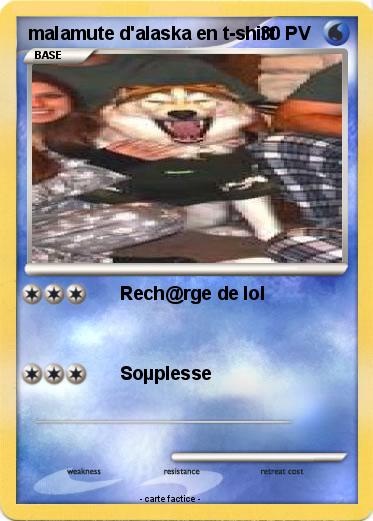 Pokemon malamute d'alaska en t-shirt