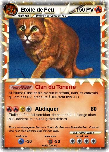 Pokemon Etoile de Feu