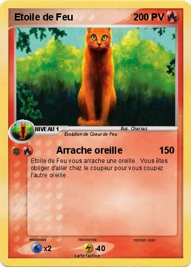 Pokemon Etoile de Feu