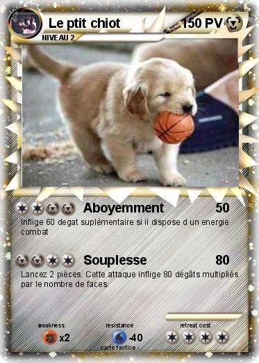 Pokemon Le ptit chiot