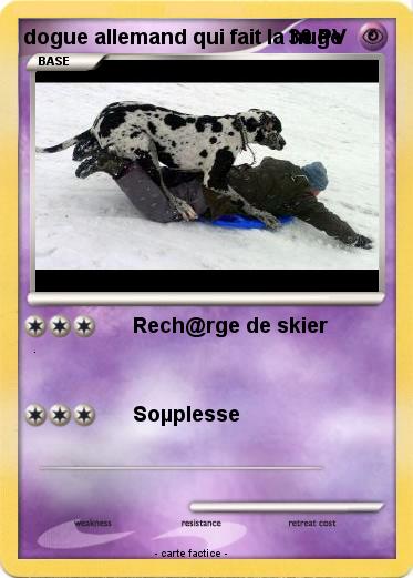 Pokemon dogue allemand qui fait la huge