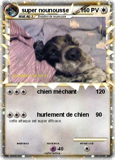 Pokemon super nounousse