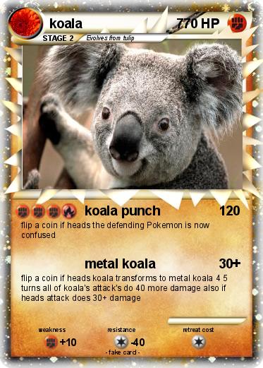 Pokemon koala                          7
