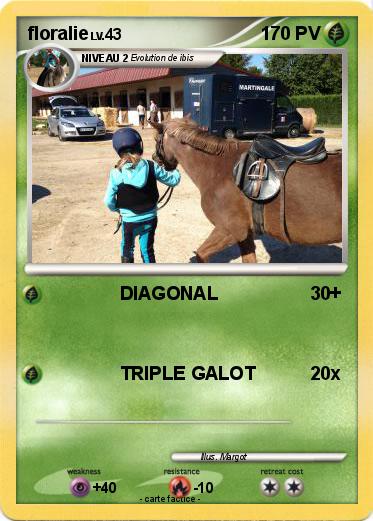 Pokemon floralie
