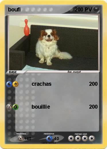 Pokemon boufi