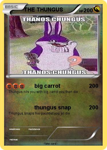 Pokemon THE THUNGUS