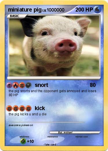 Pokemon miniature pig