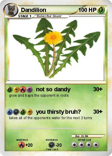 Pokemon Dandilion