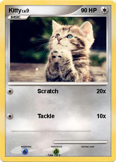 Pokemon Kitty