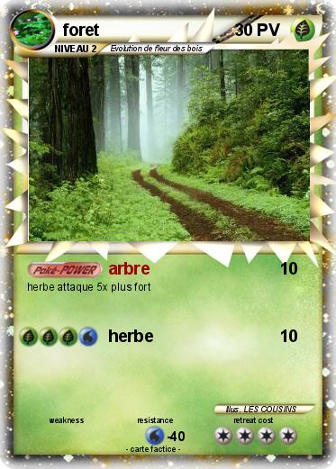 Pokemon foret