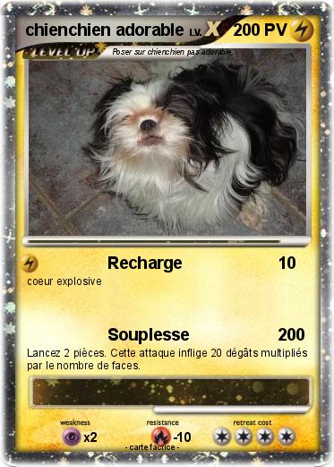 Pokemon chienchien adorable