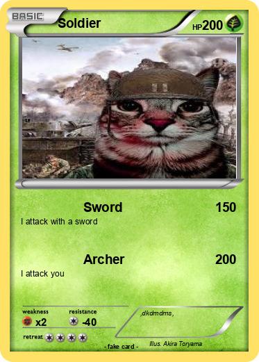 Pokemon Soldier