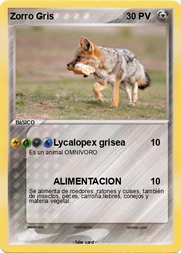 Pokemon Zorro Gris