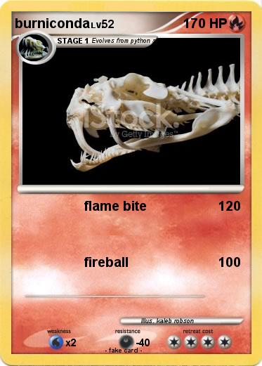 Pokemon burniconda