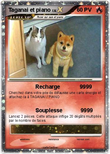 Pokemon Taganai et piano