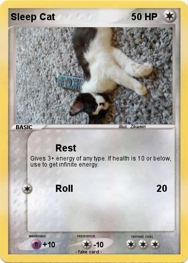Pokemon Sleep Cat