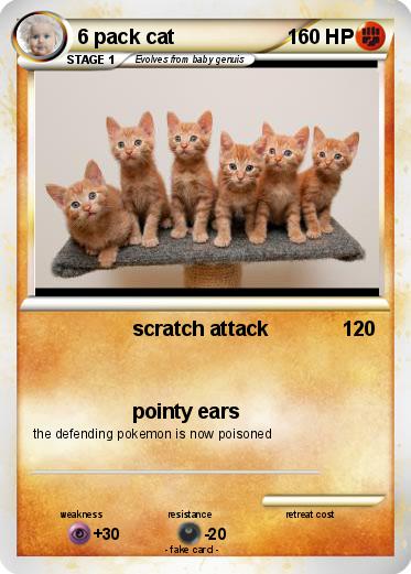 Pokemon 6 pack cat