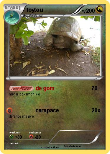 Pokemon toytou