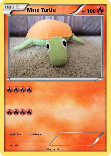 Pokemon Mine Turtle