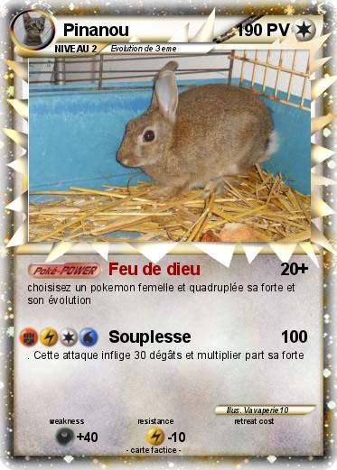 Pokemon Pinanou