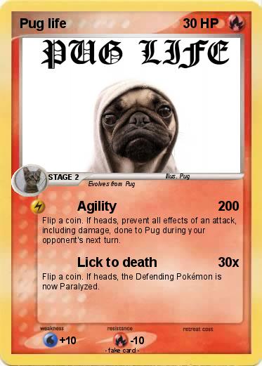Pokemon Pug life