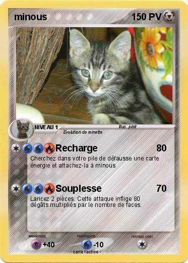 Pokemon minous