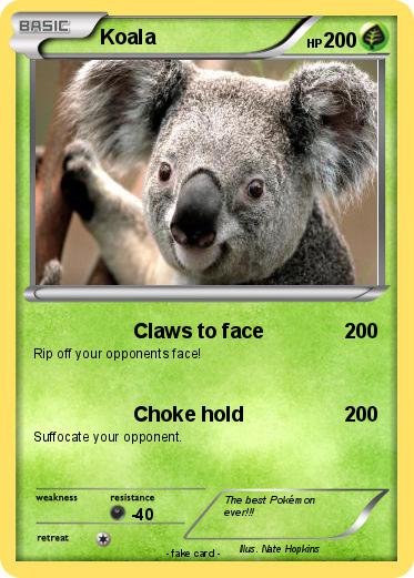 Pokemon Koala