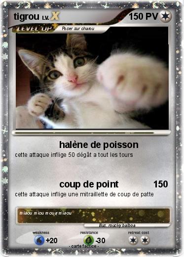 Pokemon tigrou