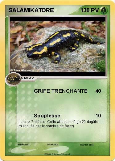 Pokemon SALAMIKATORE