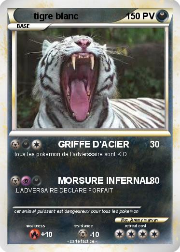 Pokemon tigre blanc