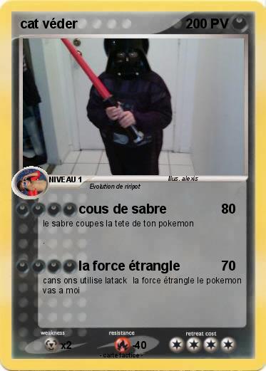 Pokemon cat véder